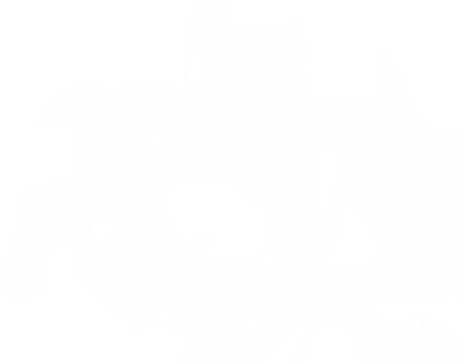 Complexity
